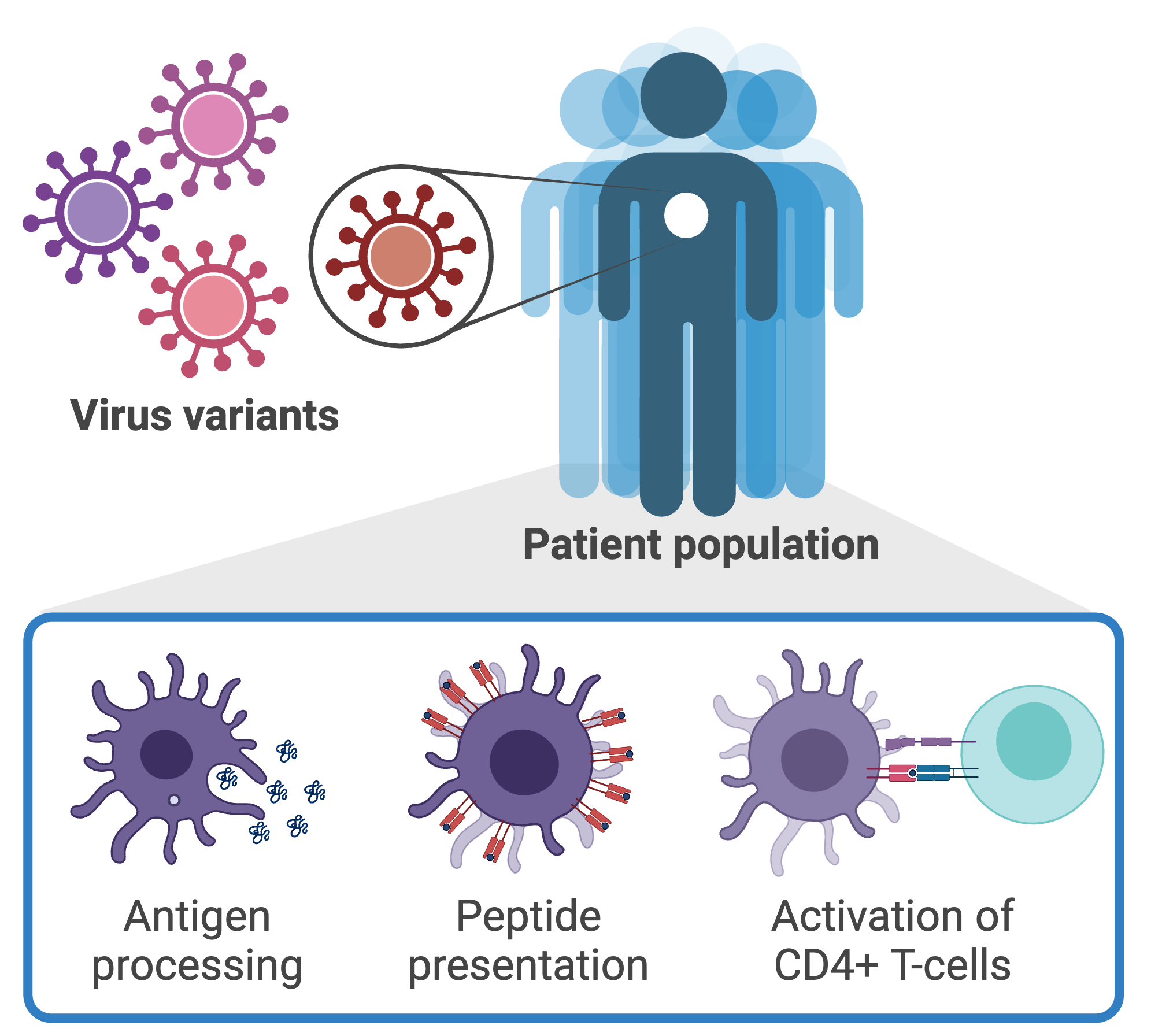 AI-enabled design of personalized vaccines and immunotherapies